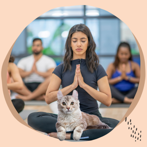 Photo of woman practicing yoga with a cat