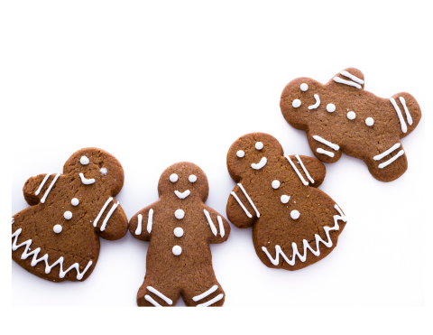 Row of gingerbread cookies