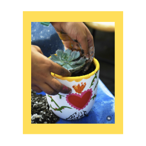 Person planting a plant in a colorful pot. 