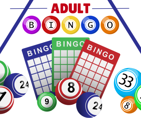 BINGO for Adults. BINGO cards and BINGO ball numbers are displayed.