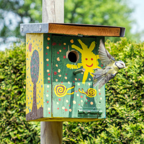 Bird flying from colorful birdhouse