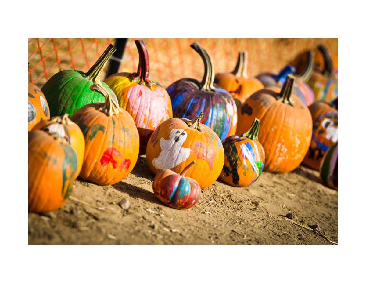 Group of small painted pumpkins