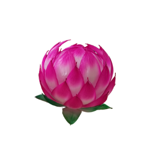 Lotus Lantern 