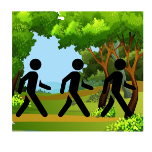 People walking through a forest trail. 